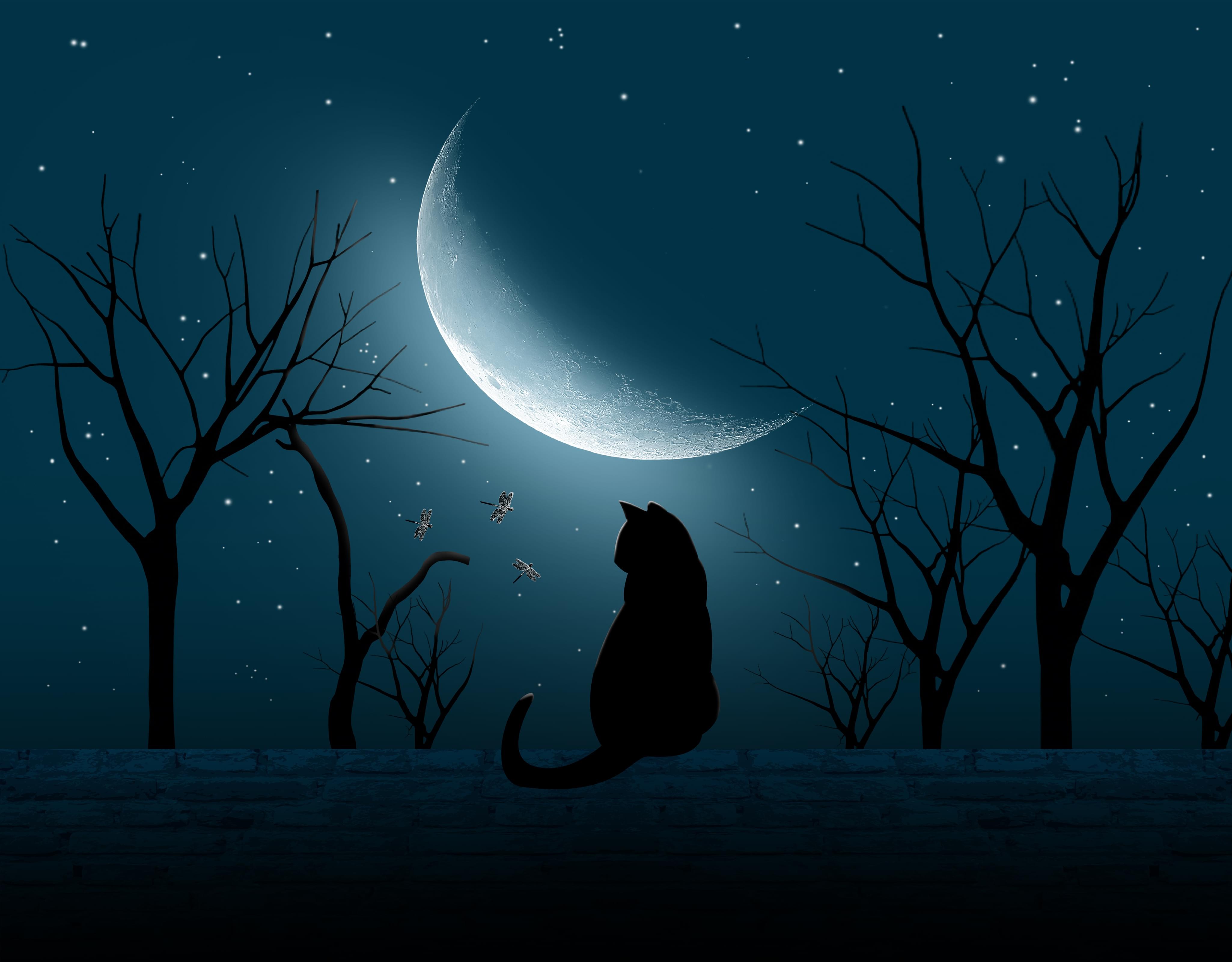 home-banner-background